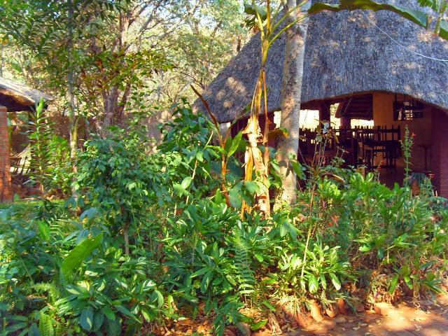 Mosi-Ua-Tunya Lodge 维多利亚瀑布 外观 照片